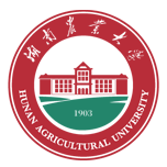 球盟会